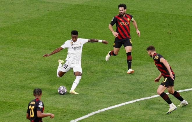 逆境训练 逆境训练